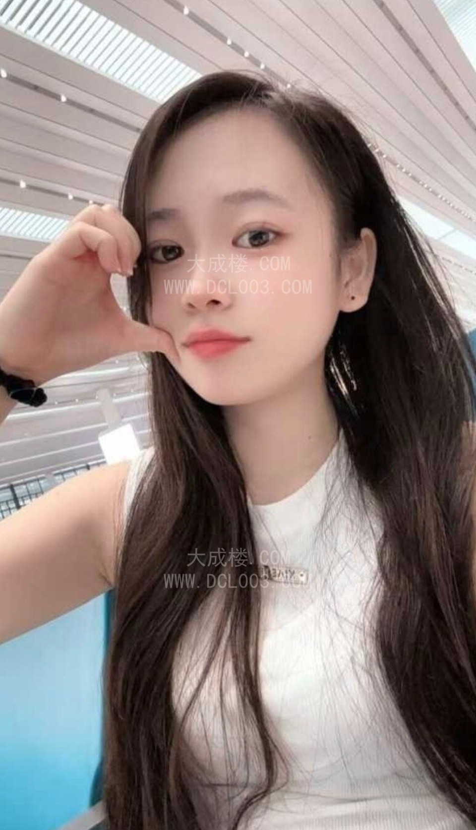 嘉禾望岗服务小嘉嘉